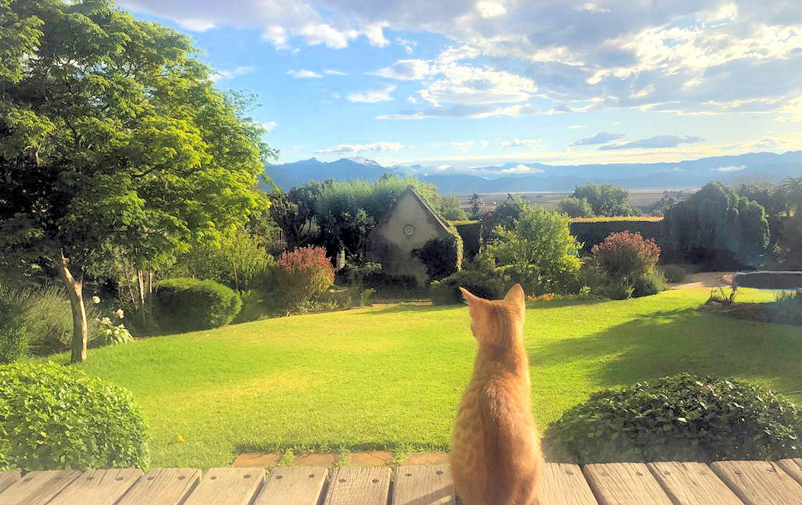 Rasa Artists Residency Riebeek West